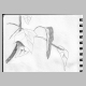 ant&leaf_1.jpg