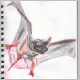 bat.jpg